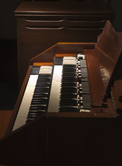 New Organ